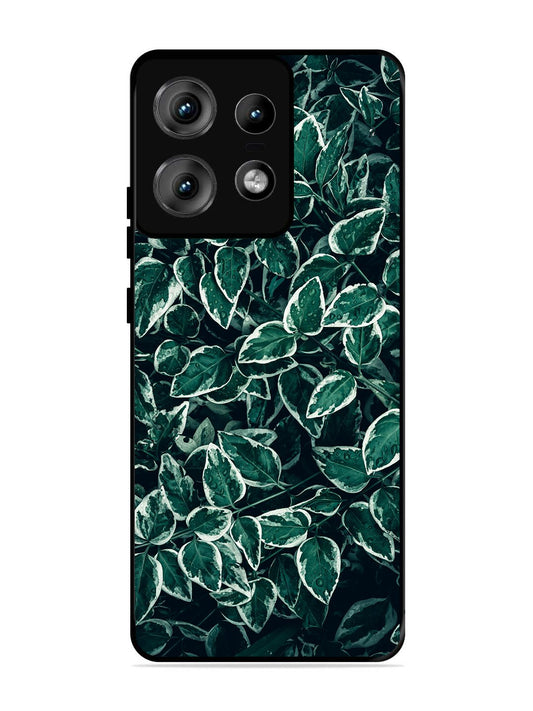 Motorola Edge 50 Pro Green Oasis Leafs