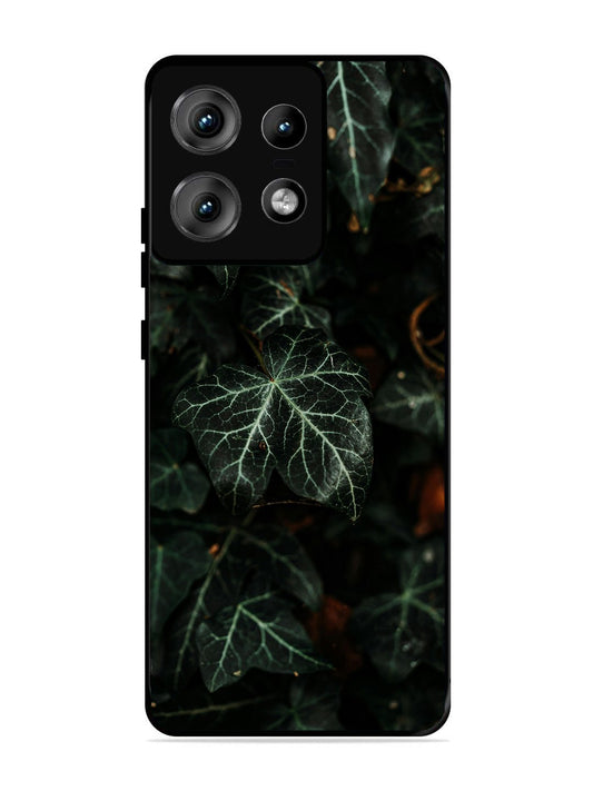 Motorola Edge 50 Pro Betel Leafs