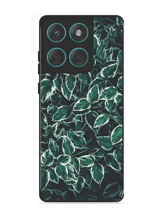 Motorola Edge 60 Fusion Green Oasis Leafs