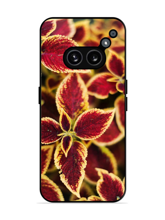 Nothing Phone 2a 5G Autumn Blaze