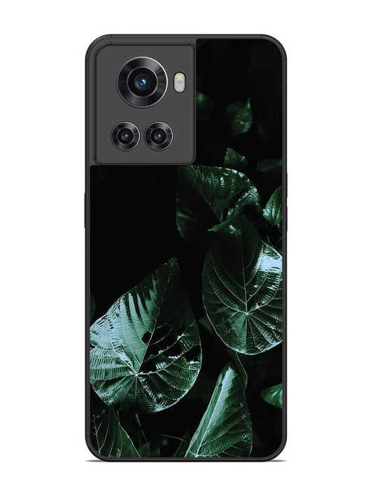 OnePlus 10R Leafs at night