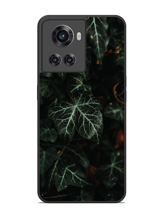 OnePlus 10R Betel Leafs