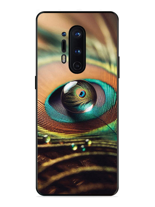 OnePlus 8 Pro Water Drop On Peacock Feather