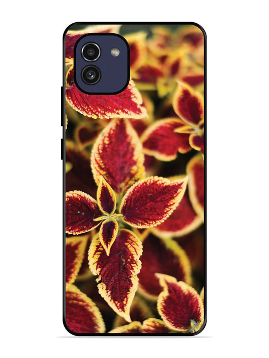 Samsung Galaxy A03 Autumn Blaze