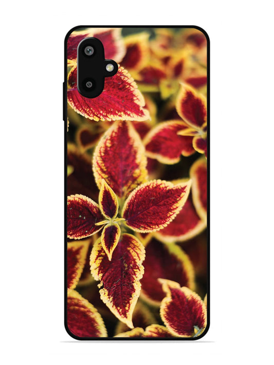 Samsung Galaxy F06 Autumn Blaze