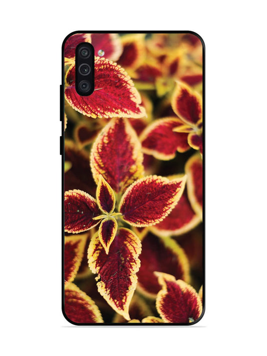 Samsung Galaxy M11 Autumn Blaze