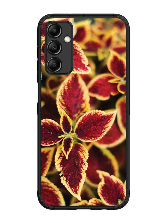 Samsung Galaxy M14 4G/5G Autumn Blaze