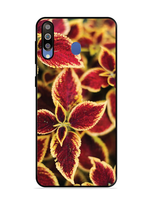 Samsung Galaxy M30 Autumn Blaze
