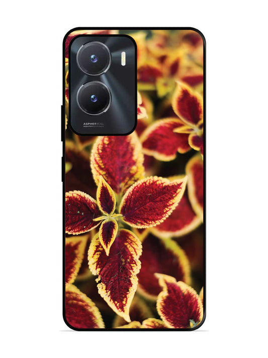 Vivo Y16 Autumn Blaze
