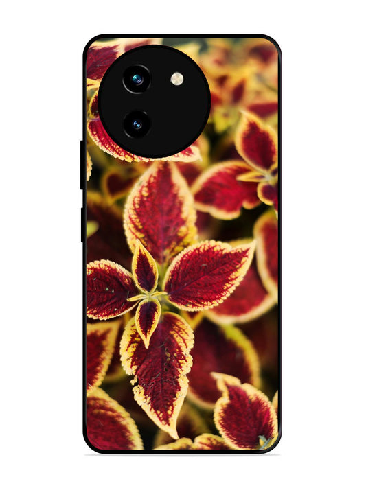 Vivo Y200i Autumn Blaze