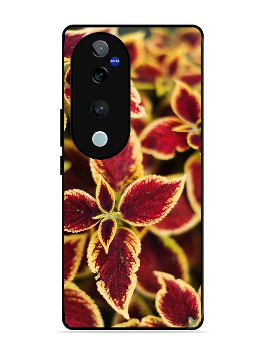 Vivo V40 Pro Autumn Blaze