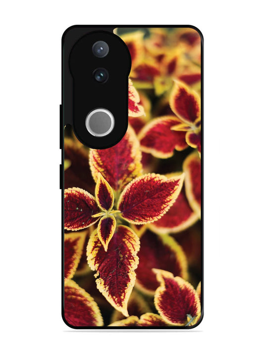 Vivo V50 Autumn Blaze