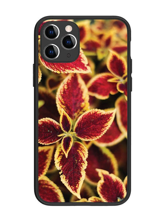 iPhone 11 Pro Autumn Blaze